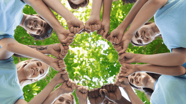 Atelier herboristerie